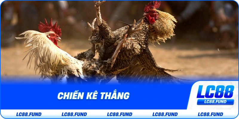 Chiến Kê Thắng