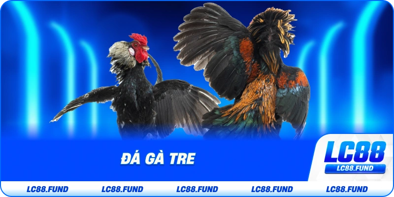 Đá Gà Tre